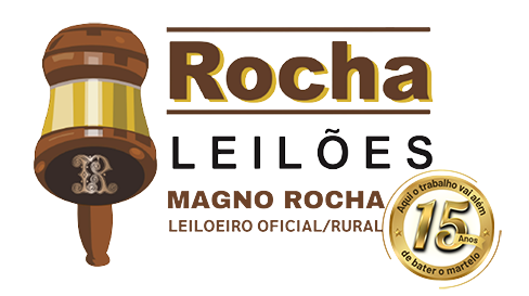 Rocha Leilões